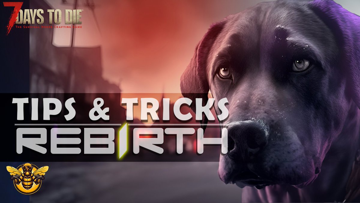 SnowBee Gaming tweet media