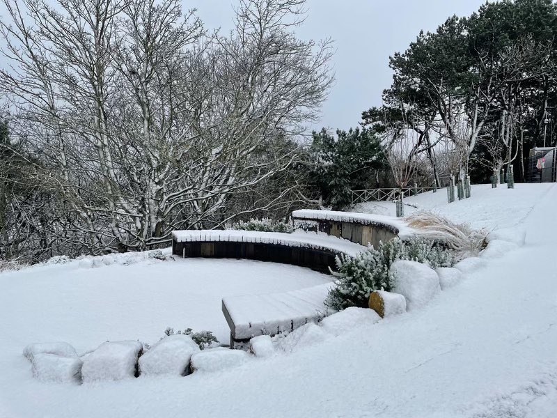 South Cliff Gardens (@hlfscgardens) on Twitter photo ❄️ We’re walking in a winter wonderland today. If you take any snowy pics of the gardens we would love to see them. ❄️
<a href="/HeritageFundNOR/">The National Lottery Heritage Fund North</a> <a href="/HeritageFundNOR/">The National Lottery Heritage Fund North</a> <a href="/TNLComFund/">The National Lottery Community Fund</a> #snow ❄️ We’re walking in a winter wonderland today. If you take any snowy pics of the gardens we would love to see them. ❄️
<a href="/HeritageFundNOR/">The National Lottery Heritage Fund North</a> <a href="/HeritageFundNOR/">The National Lottery Heritage Fund North</a> <a href="/TNLComFund/">The National Lottery Community Fund</a> #snow