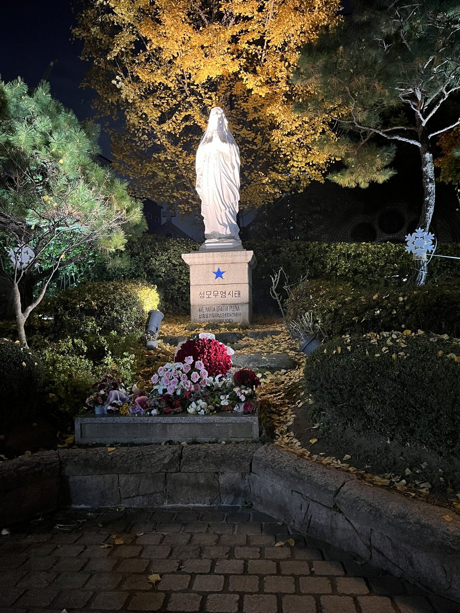 NUMOCOINミ☆𝐍𝐔𝐌𝐎𝐑𝐎.𝐈𝐎☆彡비트코인 하드포크.rma