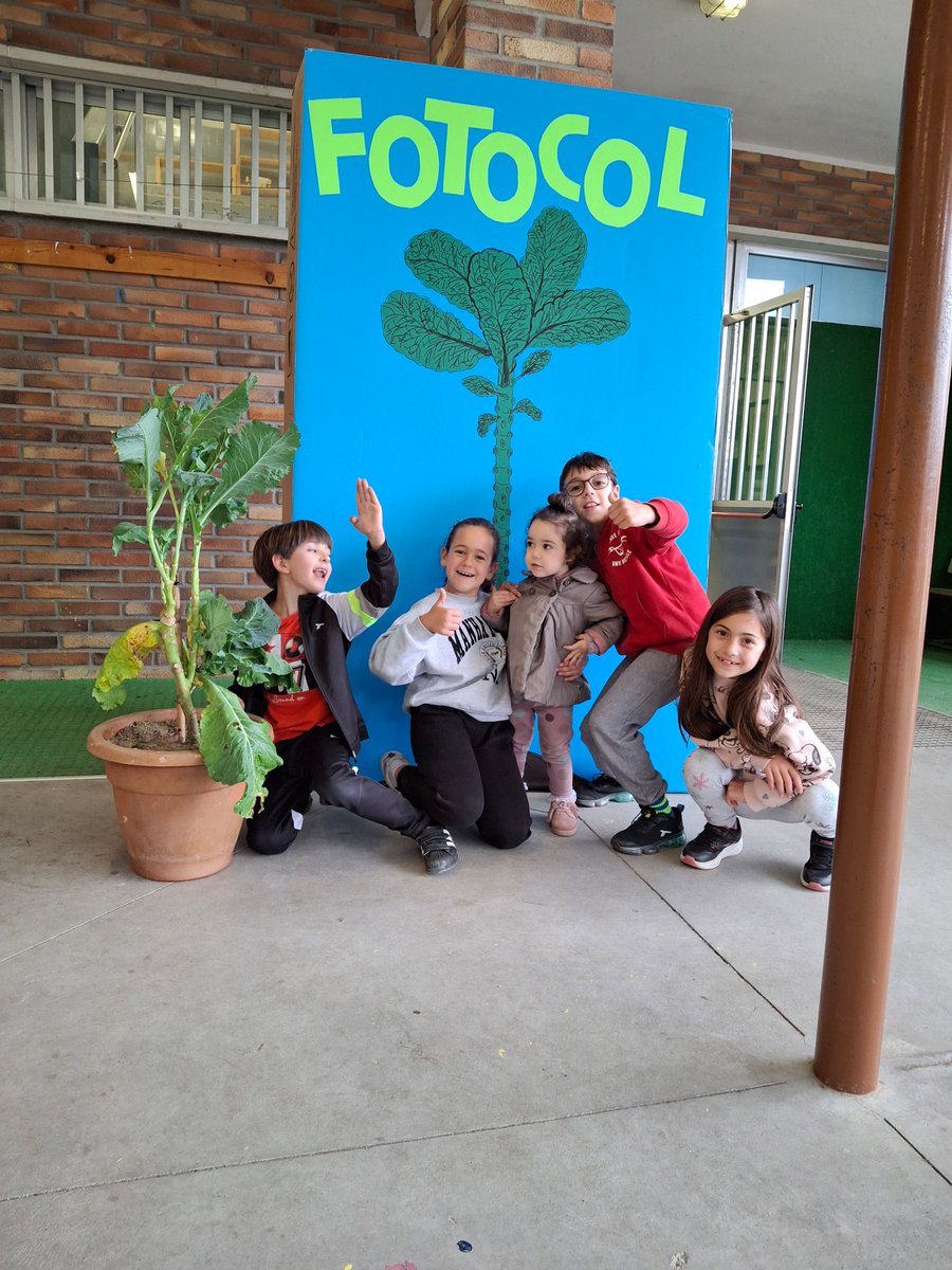 CEIPLAREDO's tweet photo. Anímate e participa no noso #fotocol !!!!!#arebolosporgalicia @bescolaresgal #bibliolaredo #dinamizaciónlaredo https://t.co/t2Yl5xJ7Ob