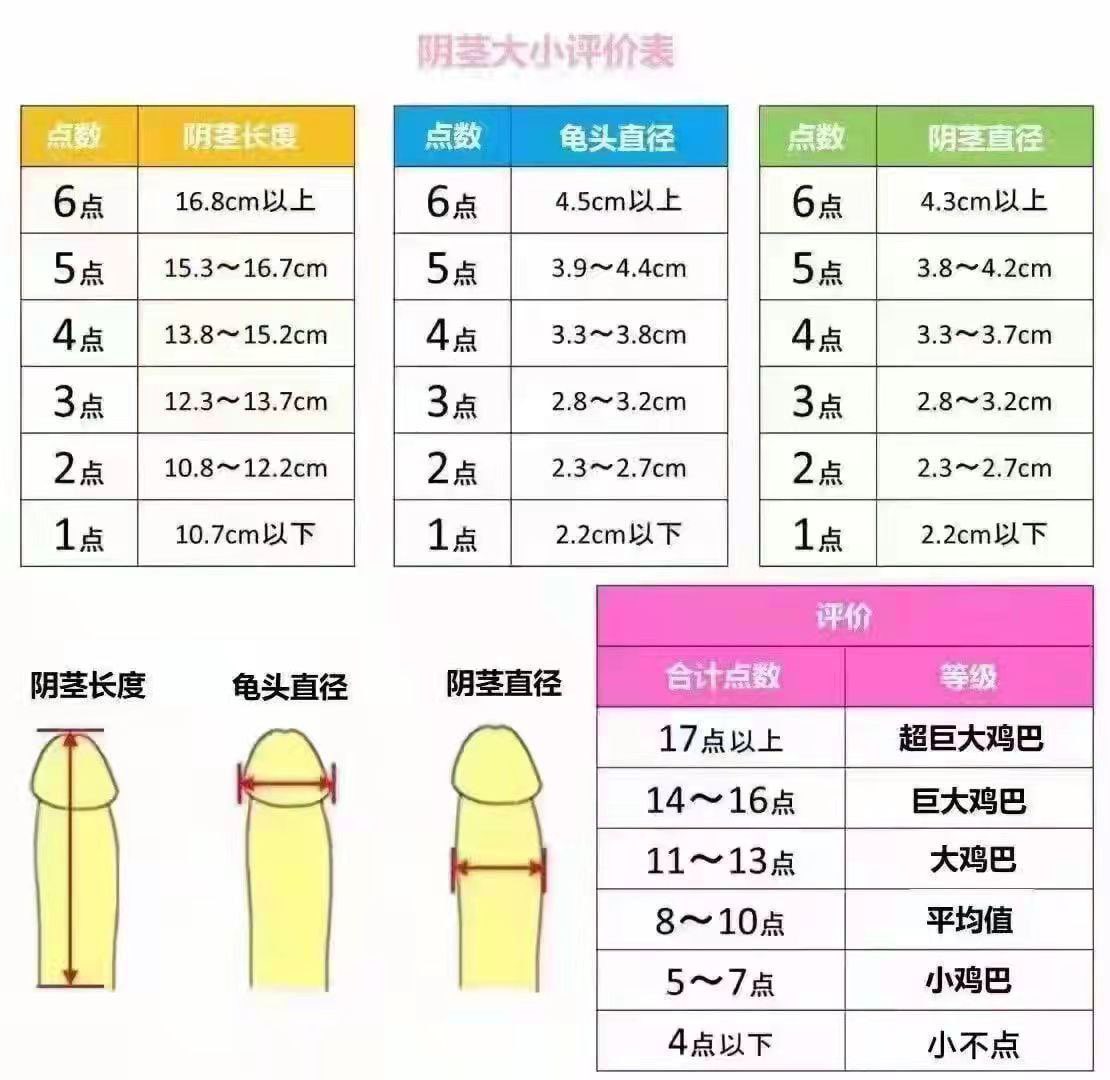 鉴定，带图和分数私我