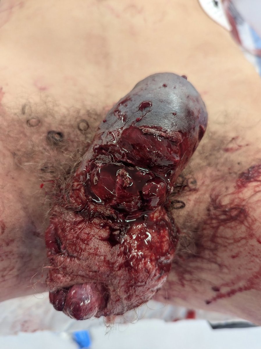 Kirtishri Mishra tweet media