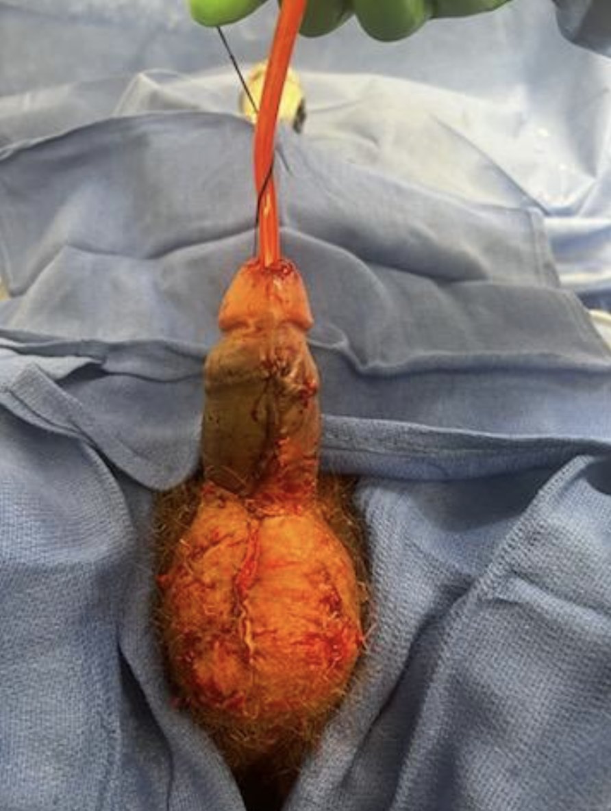 Kirtishri Mishra tweet media