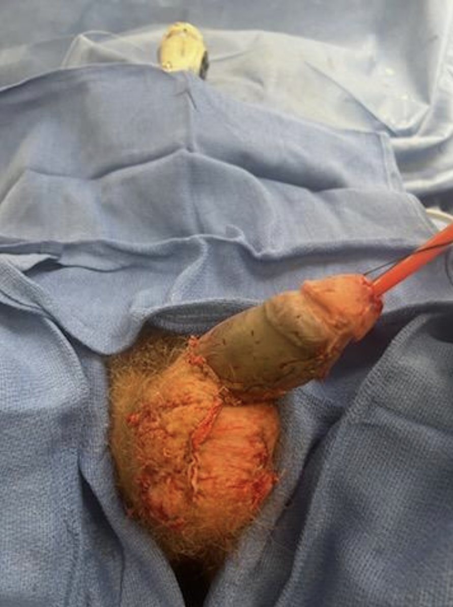 Kirtishri Mishra tweet media