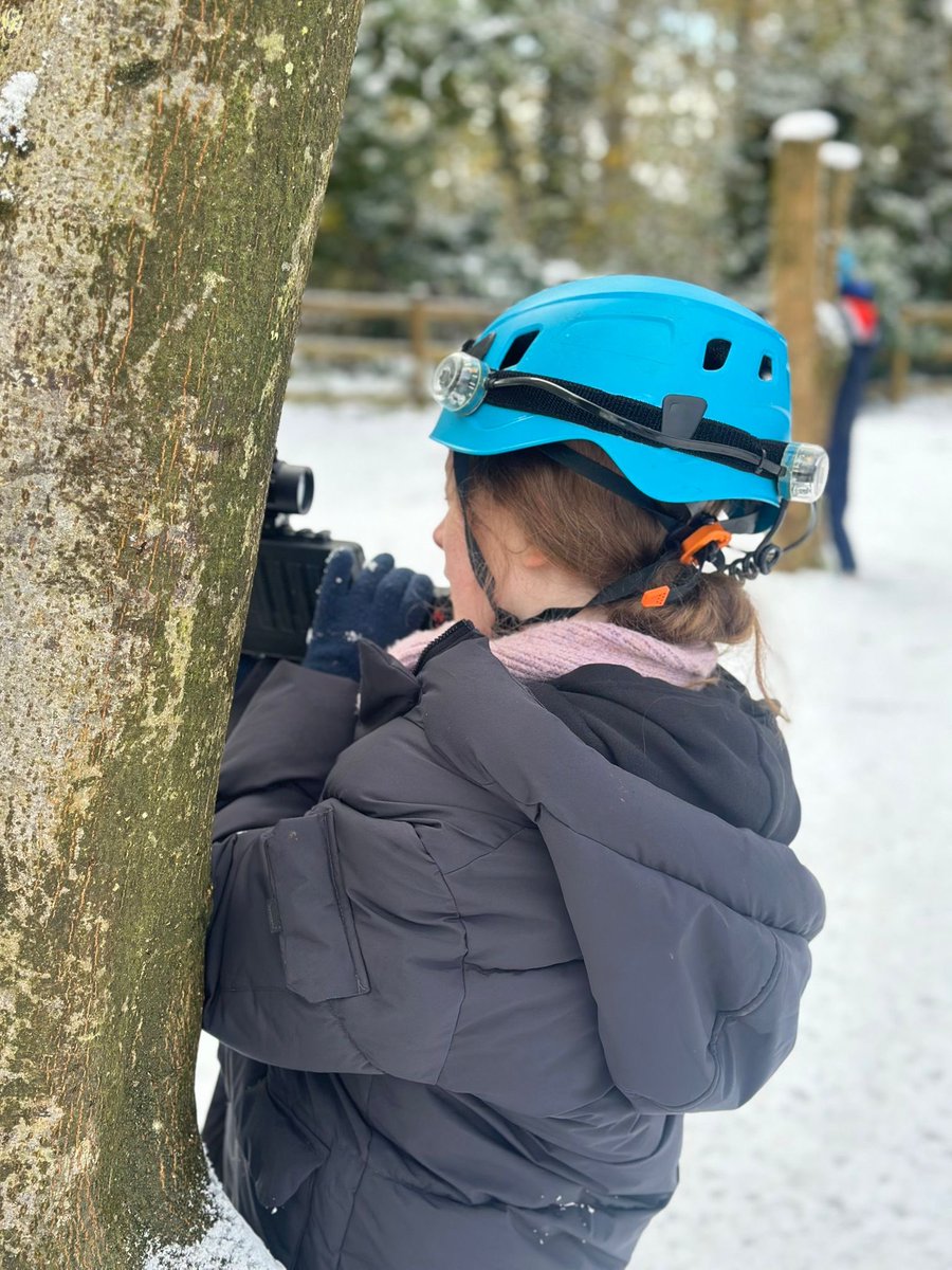 Captain's Close tweet media