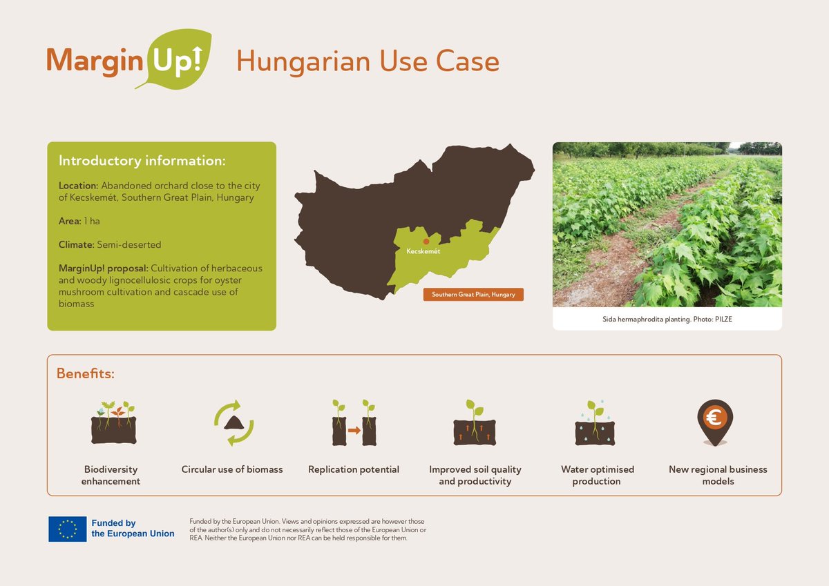 🇭🇺MarginUp! project is active in 5 EU regions, one of which is #Hungary. 

In Hungary, the cultivation of both herbaceous and woody crops, using them in a #circular process, and cascade use of biomass, will create a more resilient system for #Farmers.

margin-up.eu/resources/