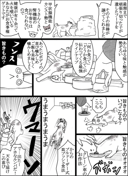 ランボー怒りのド健康 