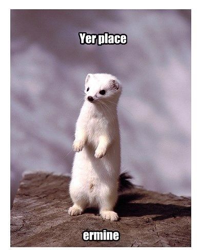 K:Dambito tweet media