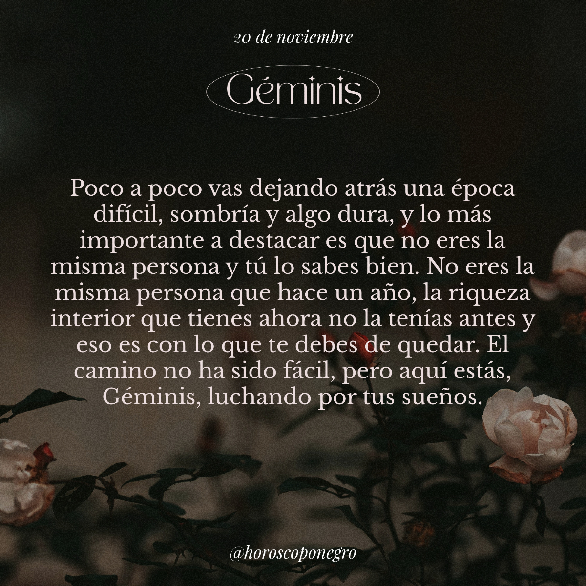 ▲GÉMINIS▲ tweet media