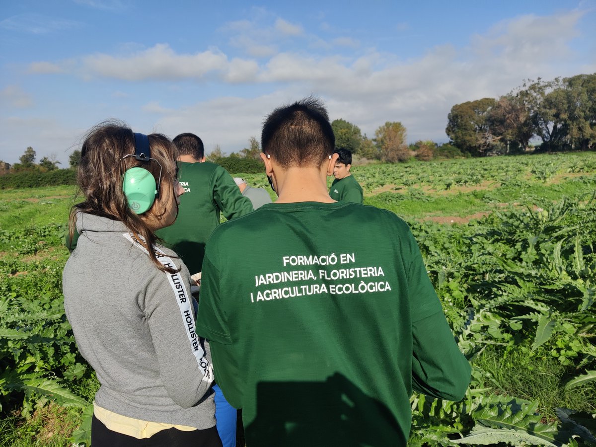 CuinaJusta's tweet photo. Els efectes del pas de la DANA pels camps del @paracagraribaix s’han fet notar amb les inundacions i pèrdua de gran part de les collites.
Un grup d’alumnes de @inslessalines davant d’aquest panorama s’engresquen a visitar els nostres camps @cuina_justa i donar un cop de mà. https://t.co/CuXnblWhL7