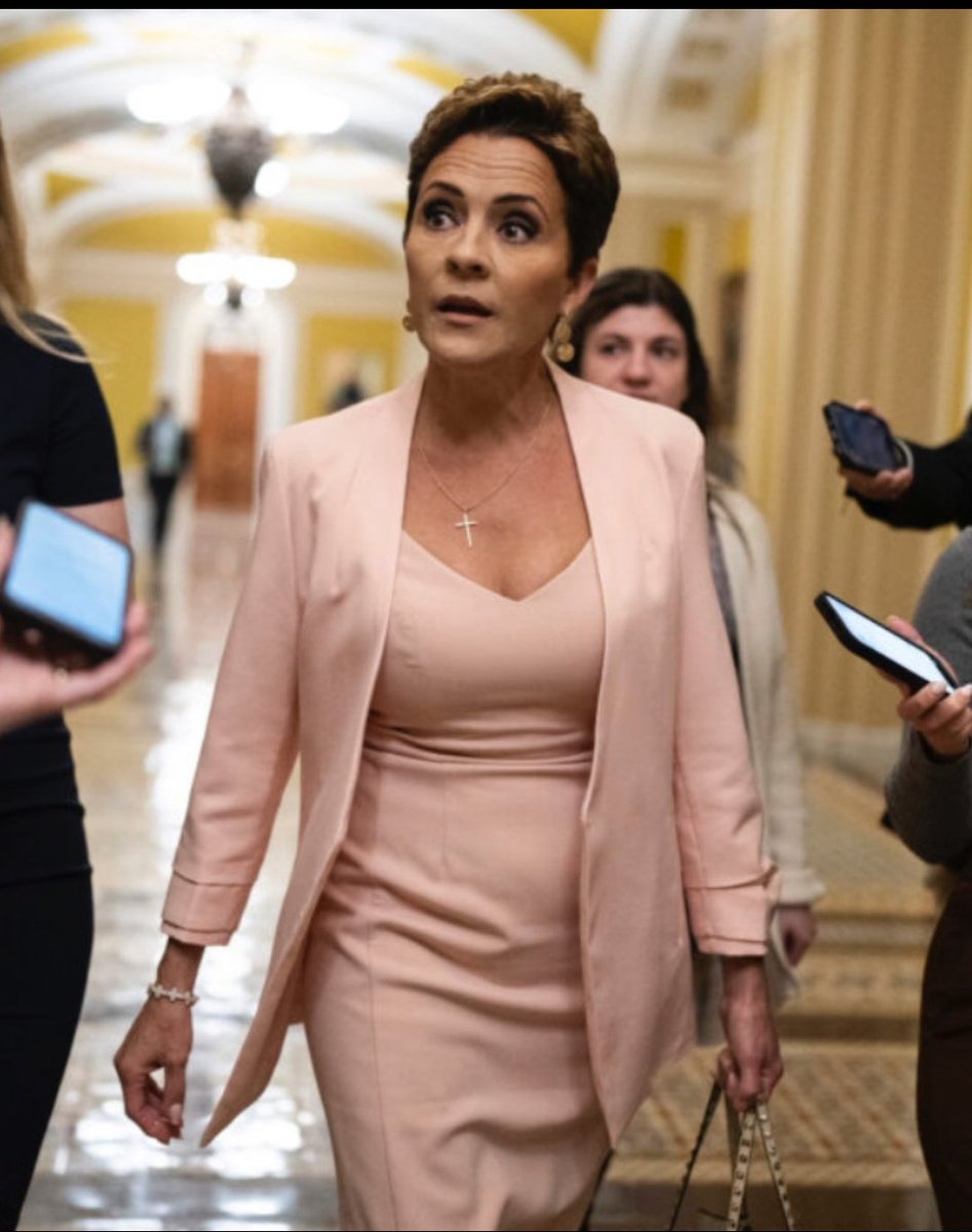 Do you support a FULL Investigation and recount in Arizona since they stole it from Kari Lake!? 

YES or NO