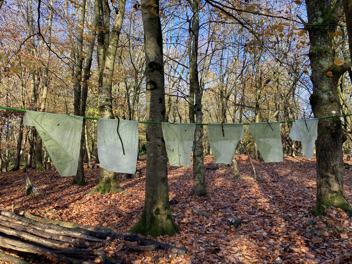 PipersForestSch's tweet photo. Year 3 loved using woad to dye some fabric, just like in the Stone Age!🌿 #woad #naturaldye #pipersprep https://t.co/5ijQWvkC3V