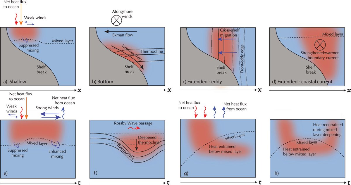 Roxy Koll ⛈ (@rocksea) on Twitter photo How do we define marine heatwaves? What are the different types, and how do they evolve? What are the impacts and what's in store for the future?
Read our new article <a href="/CommsEarth/">Communications Earth & Environment</a>
A global overview of marine heatwaves:
nature.com/articles/s4324… How do we define marine heatwaves? What are the different types, and how do they evolve? What are the impacts and what's in store for the future?
Read our new article <a href="/CommsEarth/">Communications Earth & Environment</a>
A global overview of marine heatwaves:
nature.com/articles/s4324…