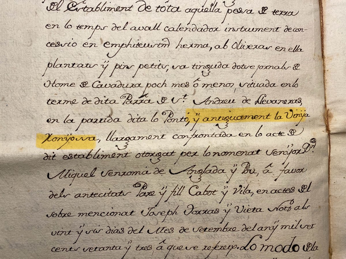 “La vinya ronyosa? Vols dir? I si li canviem el nom?”