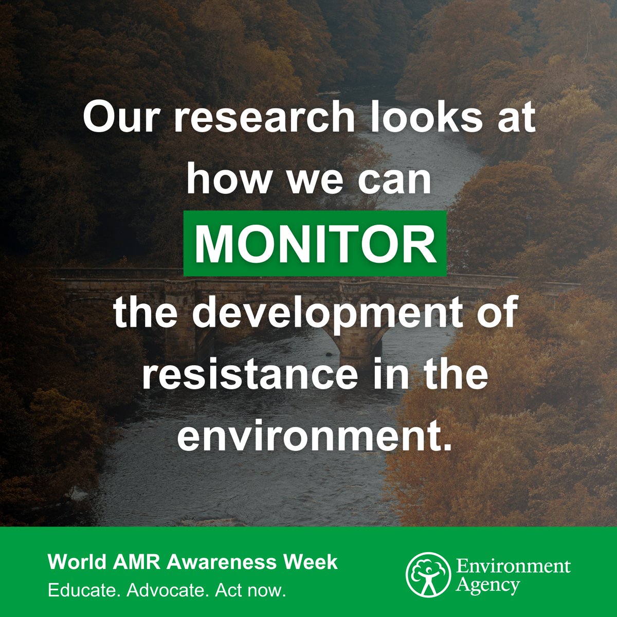 ChiefScienEA's tweet image. Working across government, #EAScientists are finding ways to monitor #AntimicrobialResistance in the environment. Our research investigates options for #AMR surveillance across marine and fresh waters, land, air, fauna, and flora 🌱
🔗 environmentagency.blog.gov.uk/2024/10/24/mon…
#WAAW #OneHealth