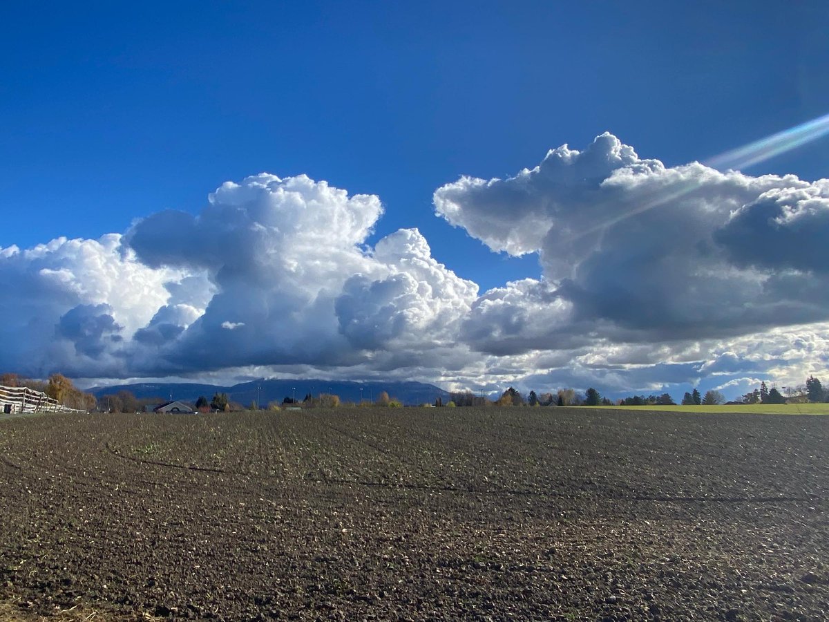meteoschweiz's tweet photo. Das #Wetter ist zurück. In der hochreichend kalten Polarluft bildeten sich am Vormittag über dem relativ warmen Wasser des #Genfersee grosse Quellwolken und kräftige (sogenannte) #Lakeeffect Schauer. 📷 #Meteomeldungen und #Radarbild. https://t.co/GdZEk1Cim3