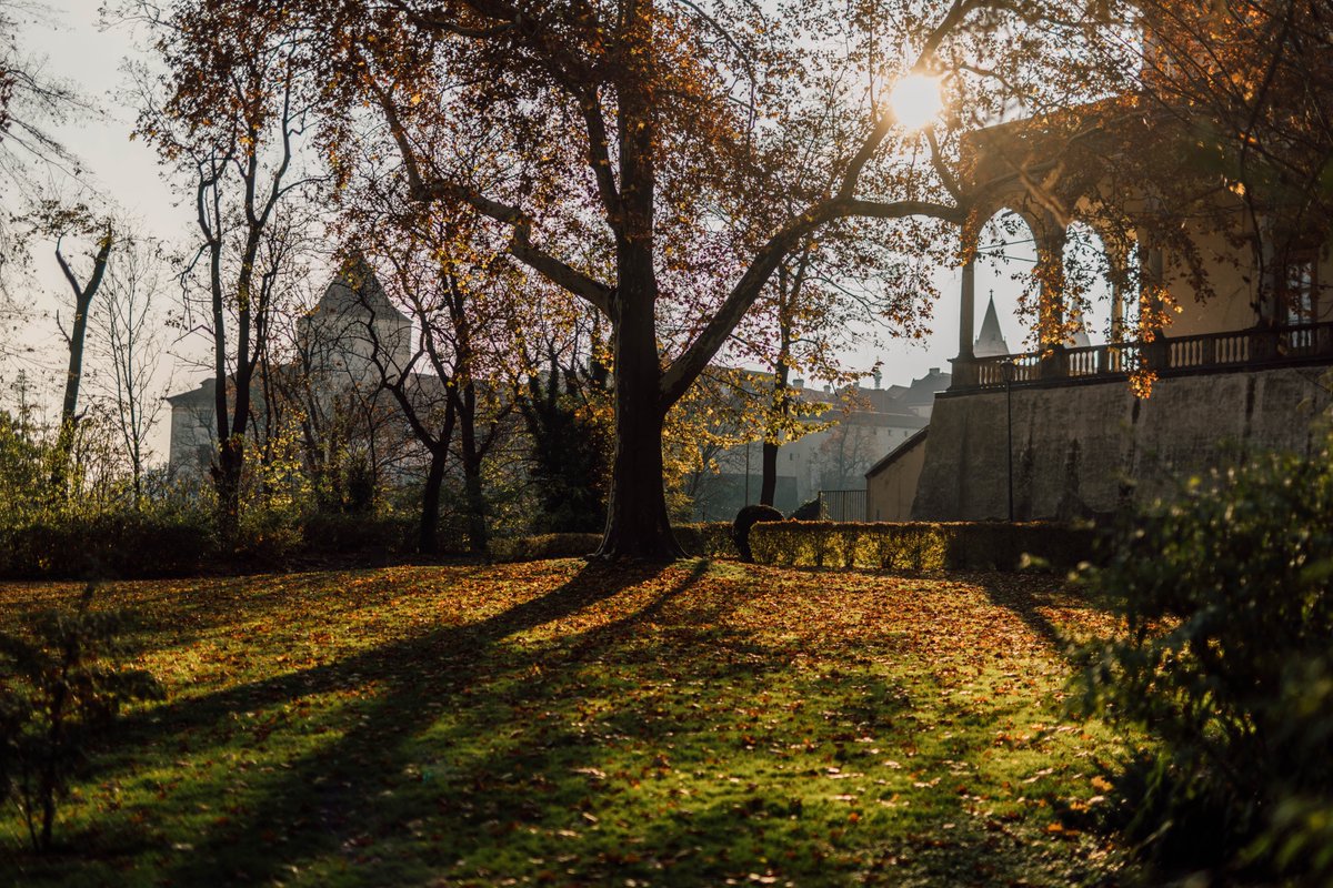 CHOTKOVY SADY ✅První pražský veřejný park a jedno z prvních děl Františka Thomayera čeká obnova. Do úprav Chotkových sadů se navíc můžete zapojit i vy. 🌳🚶🏻‍♀️

Společně se Správou Pražského hradu (<a href="/HradOfficial/">Pražský hrad</a> ) jsme připravili projekt obnovy parku, který nabízí možná ty