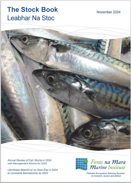 Stephanie Ronan tweet media