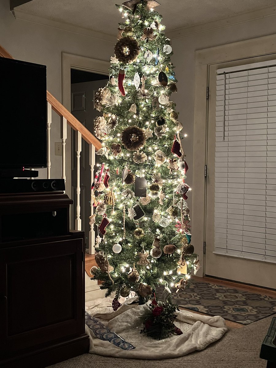 DyannBeckner's tweet photo. Dear Boss, 

I think I need to go home today. Outside it is rainy, dreary, and peoply, but at home I have Christmas lights, coffee, and books. I will try again tomorrow. 

Sincerely,  
Me 😊 https://t.co/9UePakLQ8g