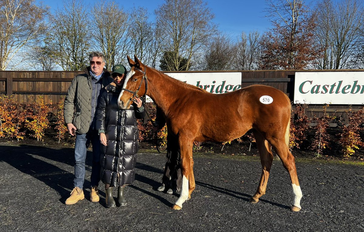 Lot 570 <a href="/Goffs1866/">Goffs</a> sells for €550,000 to <a href="/FilipZwicky/">Filip Zwicky</a> on behalf of Alice and John Weiste Christensen of The JC Organization ApS in Denmark. Stunning <a href="/TheCastlebridge/">The Castlebridge Consignment</a> consigned colt by <a href="/DarleyEurope/">Darley in Europe</a> Night Of Thunder. Big congrats 🥂🍾✨🍀🇮🇪