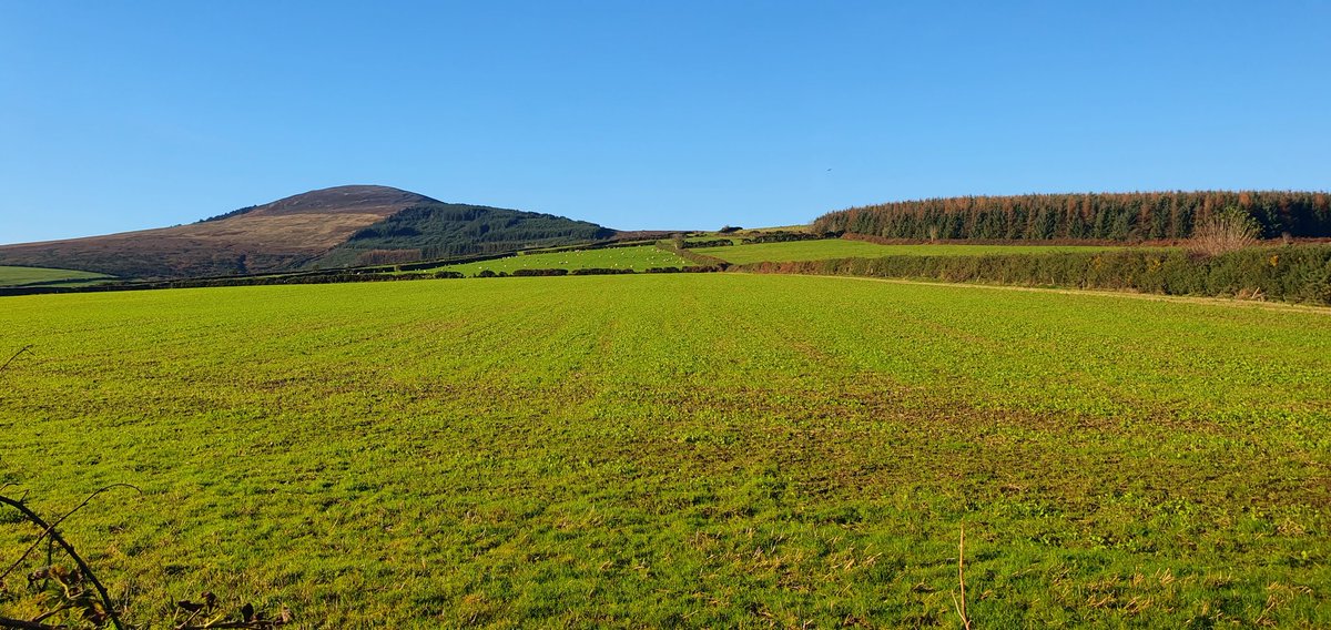 Wfskelton's tweet photo. A cool but lovely bright morning here near Bunclody https://t.co/z2se5UYe1C