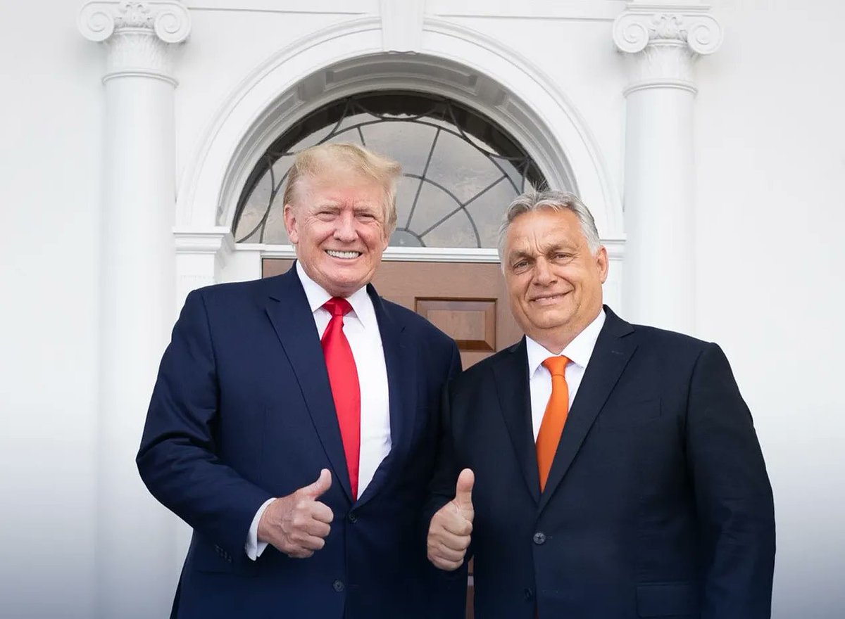 Hungarian Observer tweet media