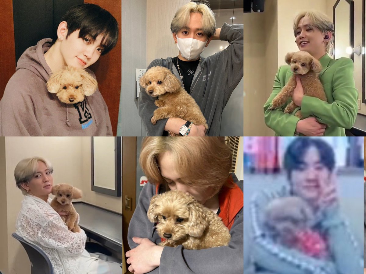 Kotetsu on Mashiho's arms 🥺🤏