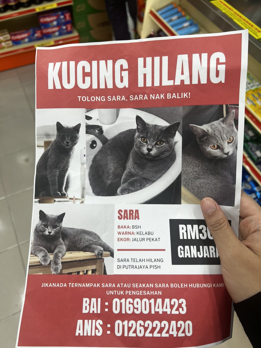 ansamr_'s tweet photo. Drove all the way to Putrajaya P15 from Cheras during lunch hour today to search for Sara and lekat some flyers

While asking from strangers, most of them kenal sara and know the case, I feel overwhelmed sbb rasa mcm my effort worth it. Inshaa Allah Sara will be home soon 🥺🙏🏻 https://t.co/cHW0ammsRB