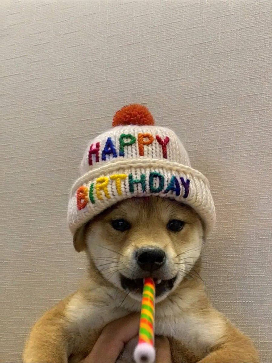$WIF

Happy 1 Year On-Chain, @DogWifCoin.

The Dog That Keeps on Giving. 🎉🥳

#WIF