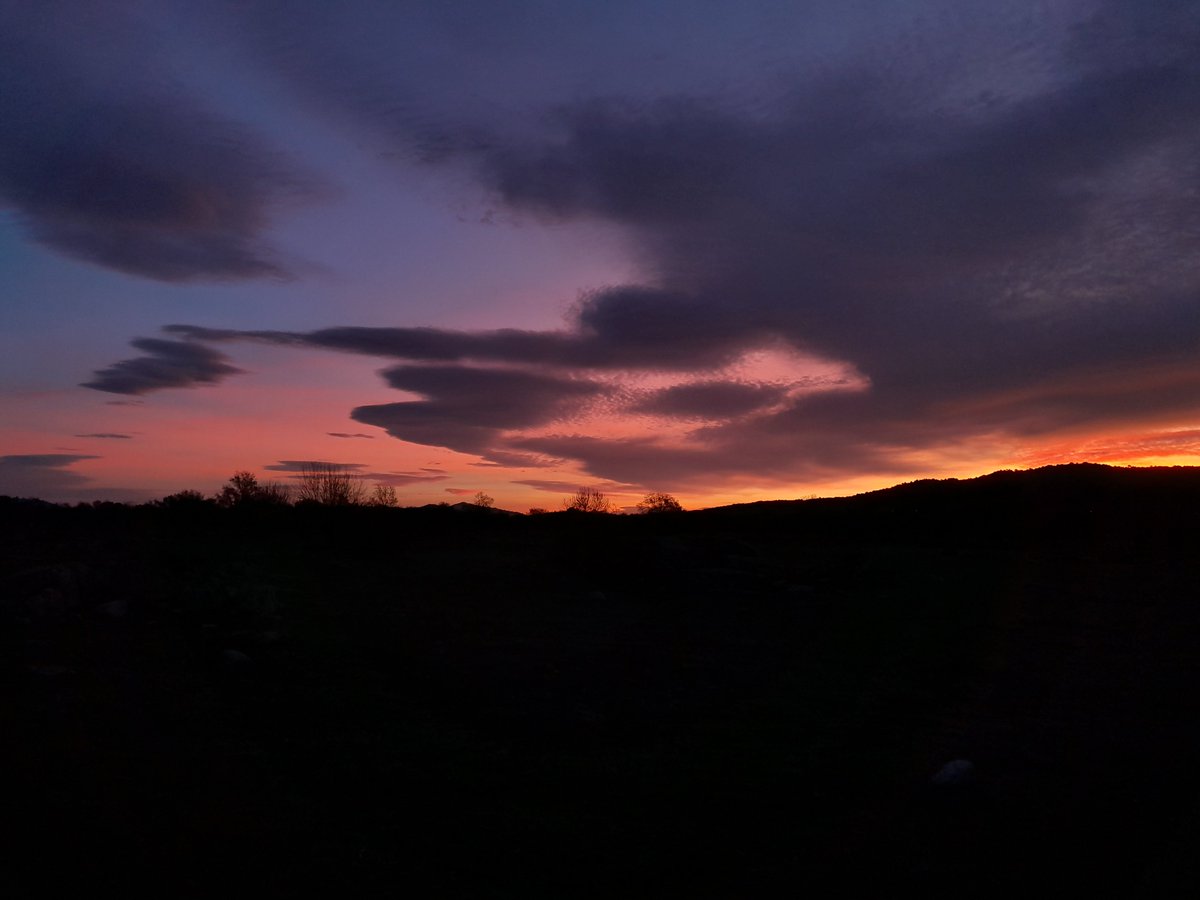 Viajarapie tweet media