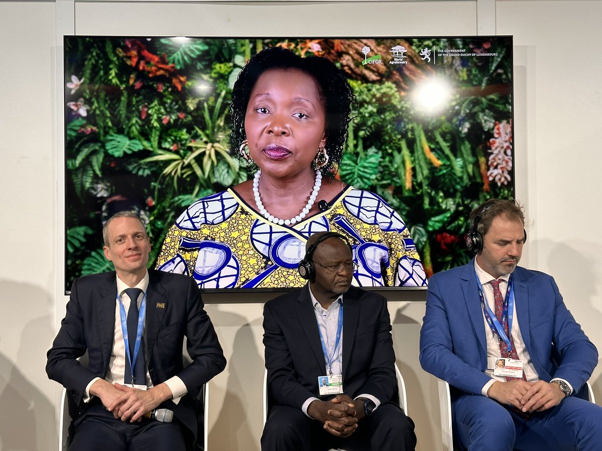 “To unlock the full potential of Nature-based Solutions, science and business must work more closely together, turning cutting-edge research into financial opportunities that drive meaningful impact for people and the planet.” <a href="/elianeubalijoro/">Eliane Ubalijoro</a> 

#COP29 #Trees4Resilience