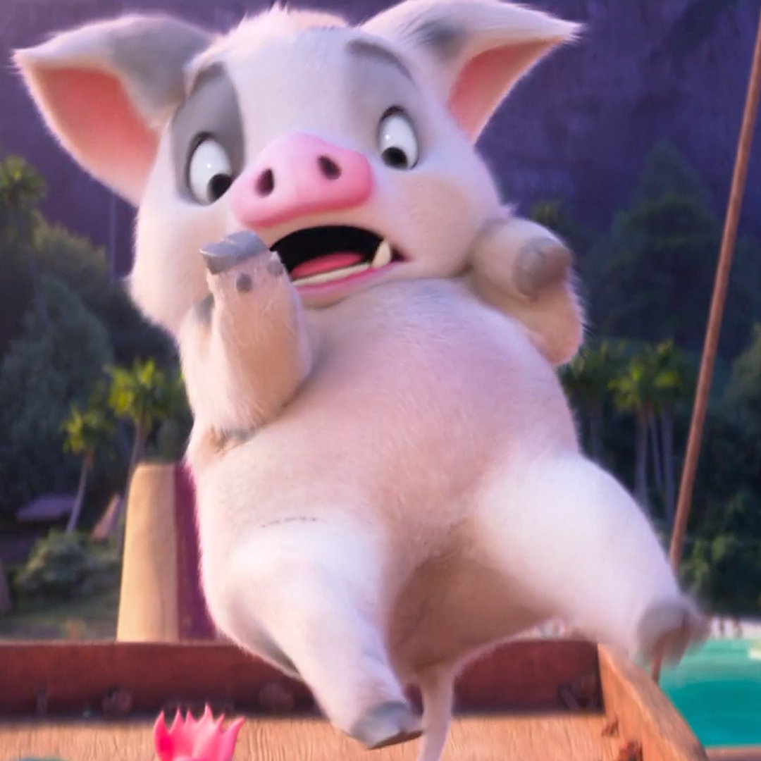 『#モアナと伝説の海２』で
#モアナ と一緒に冒険へ出ることになった
ブタのプア🐽➰

いろんな表情をみせるプアに
一体どんな冒険が待ち受ける……⁉️

プアに絵文字🐽で応援のエールを送ろう✊