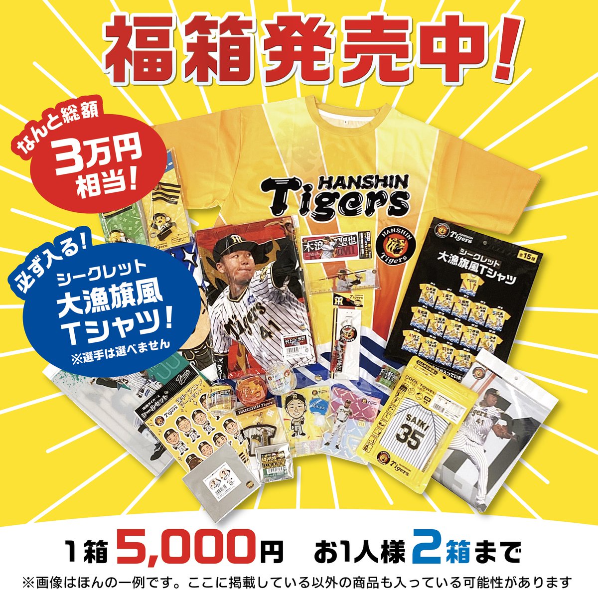 龍神NIPPON 福袋 2015 シャープ産業（MIZUNO GROUP） on X