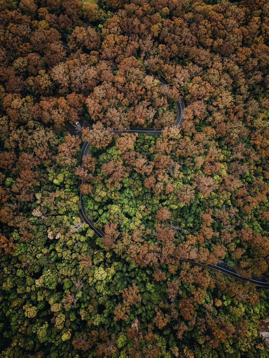 KodyBlock2's tweet photo. 🍁🍁🍁 https://t.co/Bm6RVm5Y2P