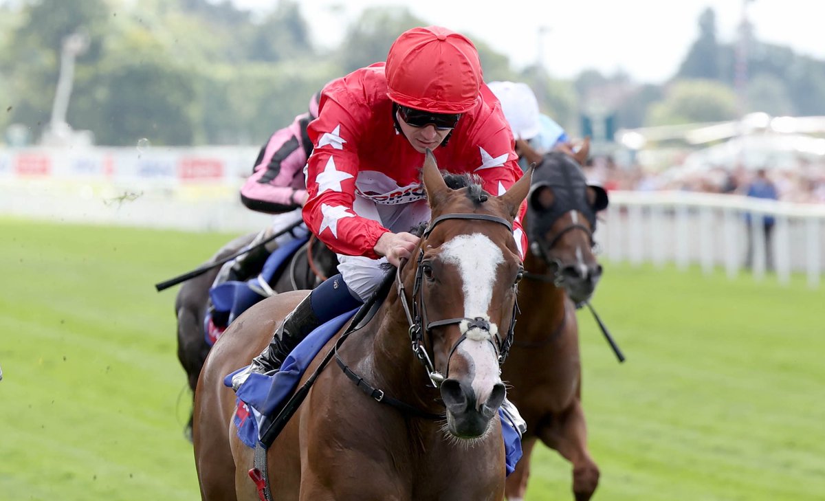 HongKong_Racing's tweet photo. UK’s selected runners for #HKIR: 
 
🇬🇧 STARLUST (Sprint) 
🇬🇧 DOCKLANDS (Mile)
🇬🇧 RAMADAN (Mile)
🇬🇧 SPIRIT DANCER (Cup)
🇬🇧 THE FOXES (Cup)
🇬🇧 GIAVELLOTTO (Vase) 
🇬🇧 DUBAI HONOUR (Vase) 

#HKRacing | @AtTheRaces https://t.co/EiZnN435h0