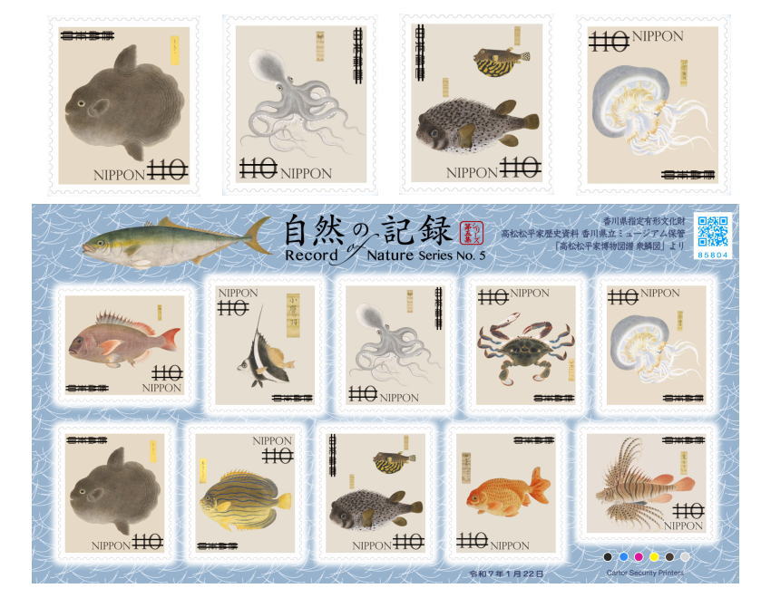 kitte_museum's tweet photo. 「自然の記録シリーズ第5集」切手が、2025年1月22日(水)から全国の郵便局で発行されます。 第5集は水生生物の図譜「衆鱗図」で、絵師は特定されていませんが驚くほど精密な描写で、胡粉(ごふん)を用いて体表の立体感を出す工夫がされています。 https://t.co/Ska0jcYKYG