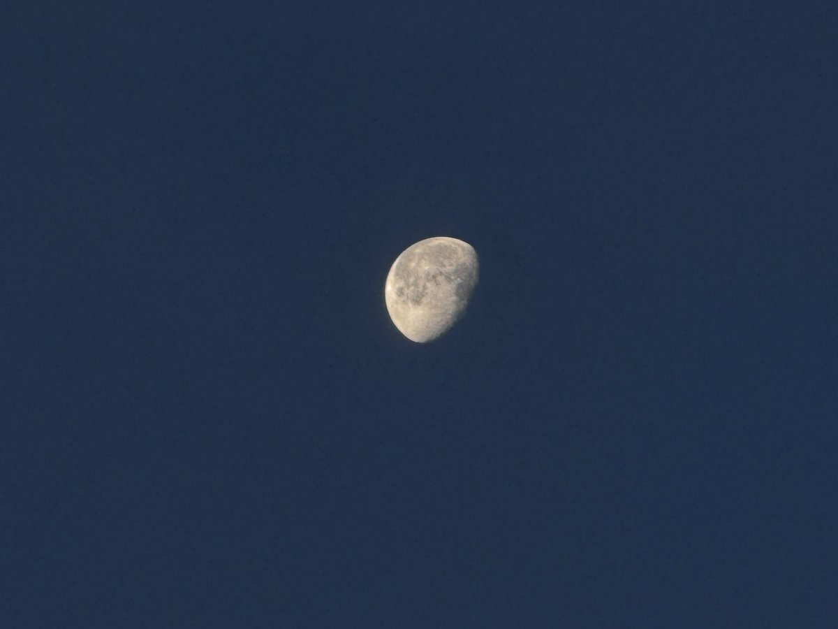 James8209100's tweet photo. Very cold & #frosty start to Wednesday in Carlisle. Down to -4°c 🥶 #ukcold #moon https://t.co/iHz02UUpq3