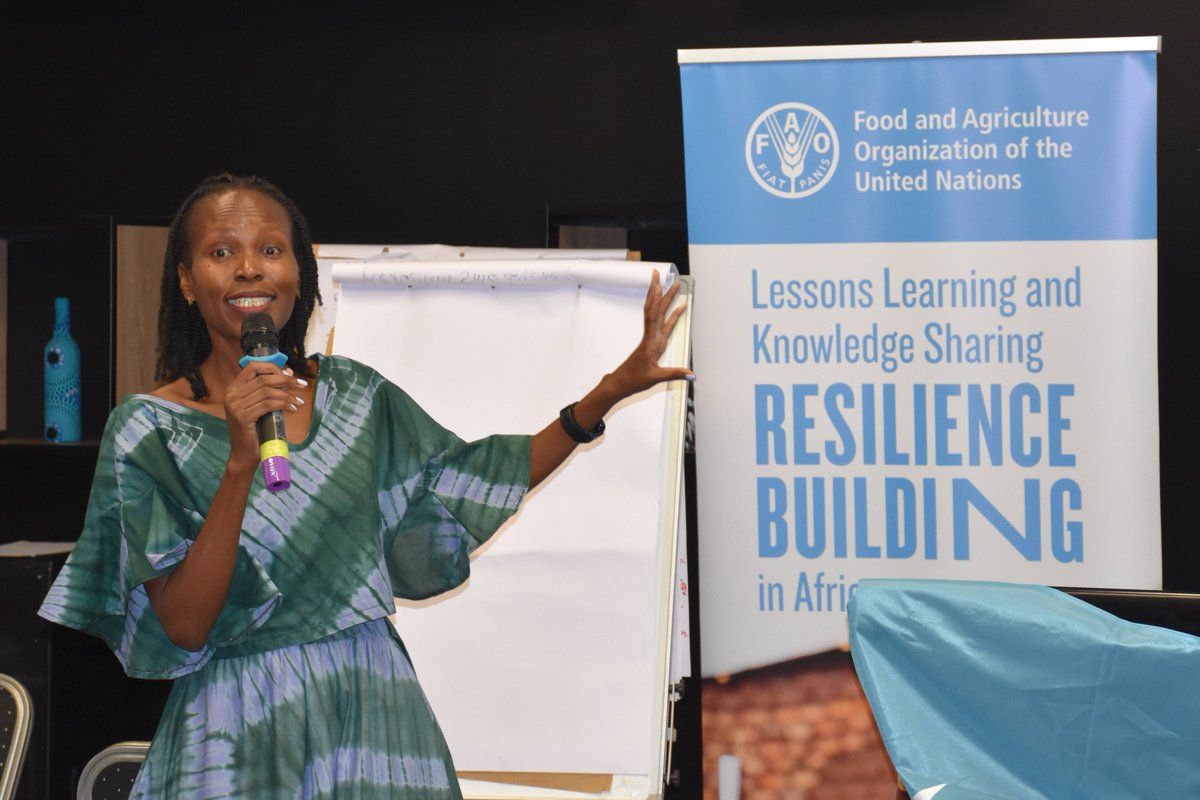 FAOUganda's tweet photo. On Day 3 of @FAOAfrica’s #Resilience workshop, experts are reflecting on the key takeaways of a fruitful week.

Salient points emerging are the #strategic focus, operational enhancements, #coordination &amp; #CapacityBuilding as key pillars to enhance @FAO’s work in #Africa 🤝 https://t.co/E7cZ2M7UjA