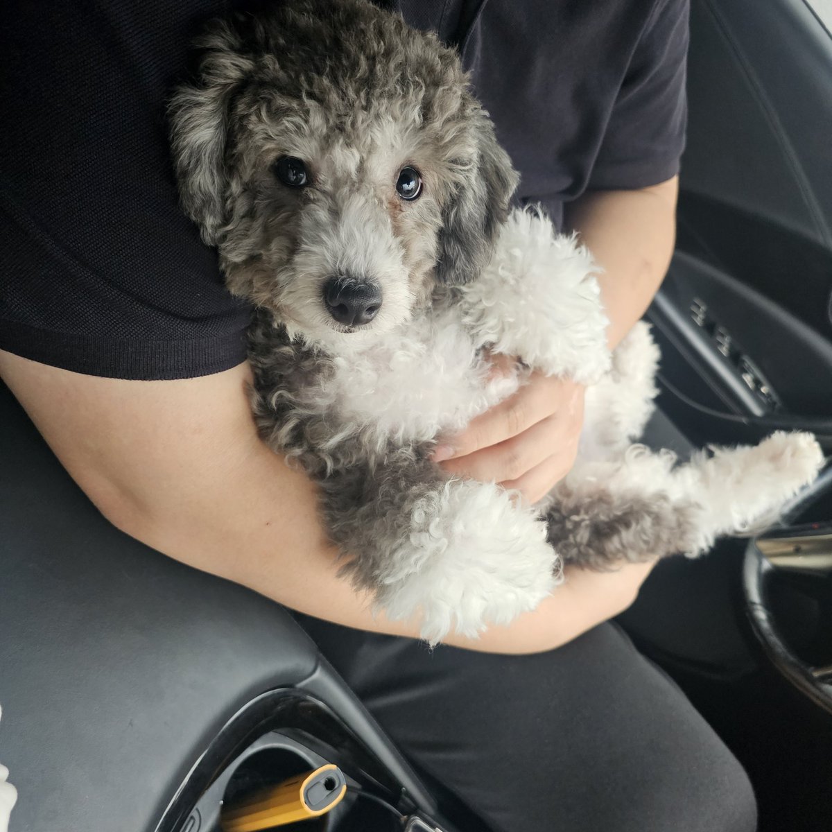 화났던 마음 지인네 겸댕이 보고 진정하기