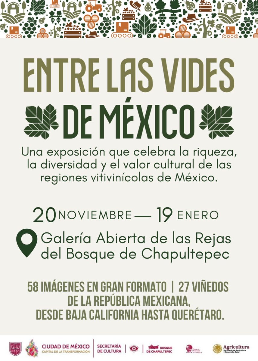 ¡El vino y el arte se encuentran en "Entre las Vides de México"! 🍇📸 La inauguración de esta exposición fotográfica, que nos conecta con la esencia de los viñedos mexicanos, ya es una realidad. Hasta el 19 de enero, podrás visitarla en las rejas de <a href="/ChapultepecCDMX/">Bosque De Chapultepec</a>.