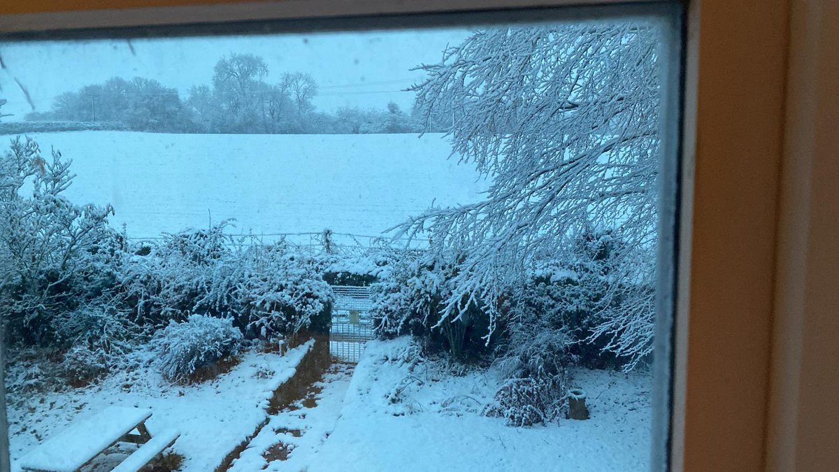 Bon dia ☃️❄️
