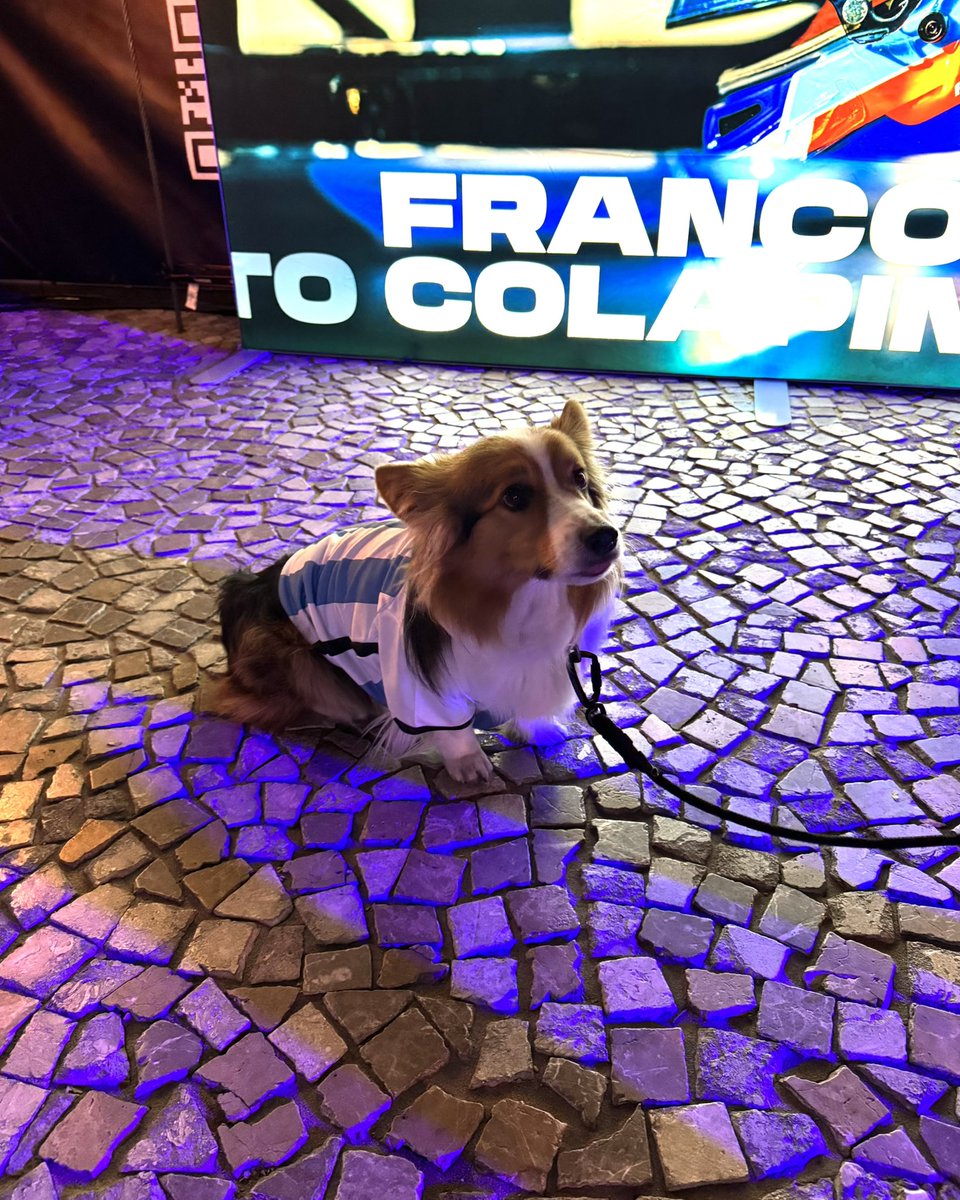 Franco Colapawto 🐾