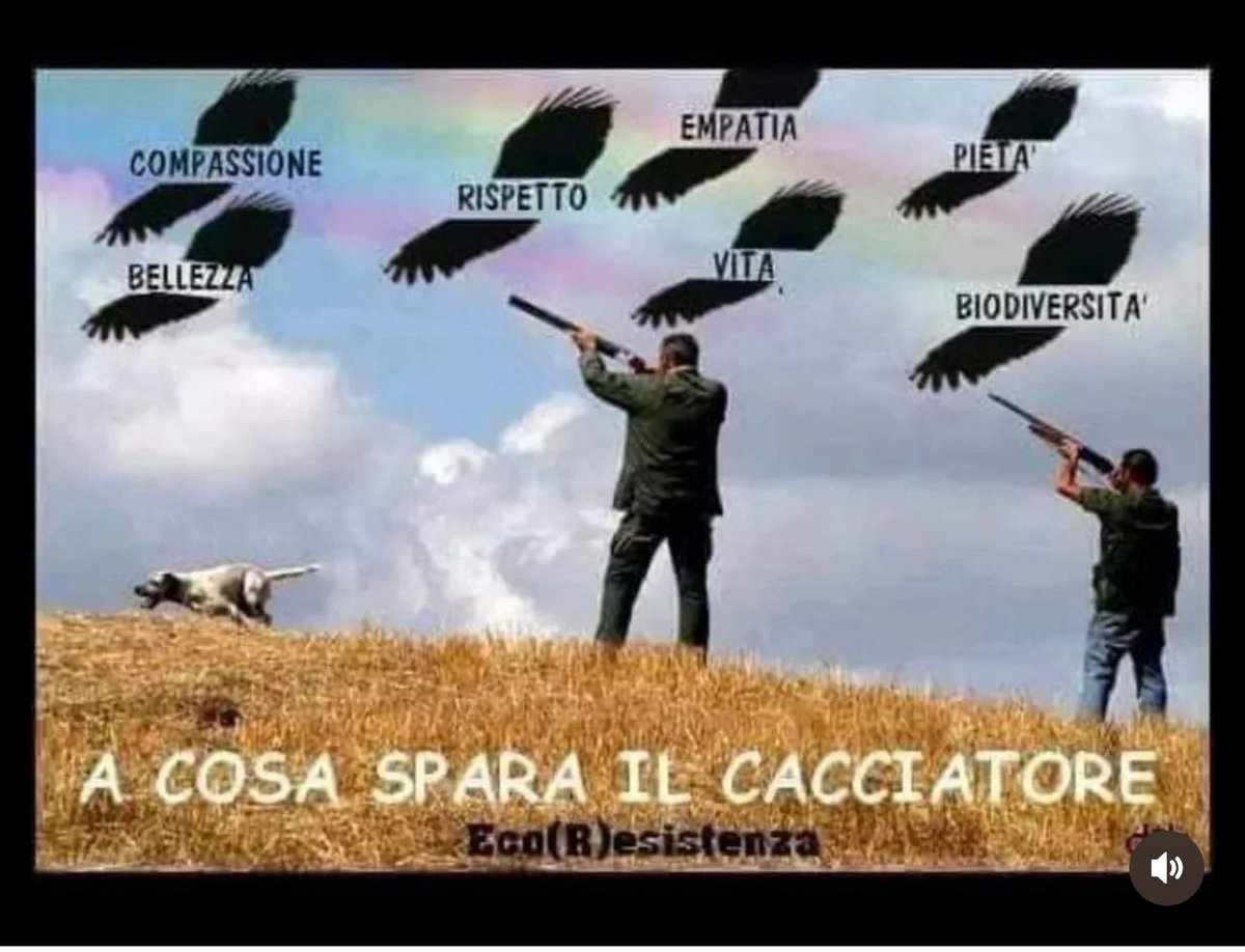 francy_1970's tweet image. #stopcaccia
#caccia 
#cacciatori