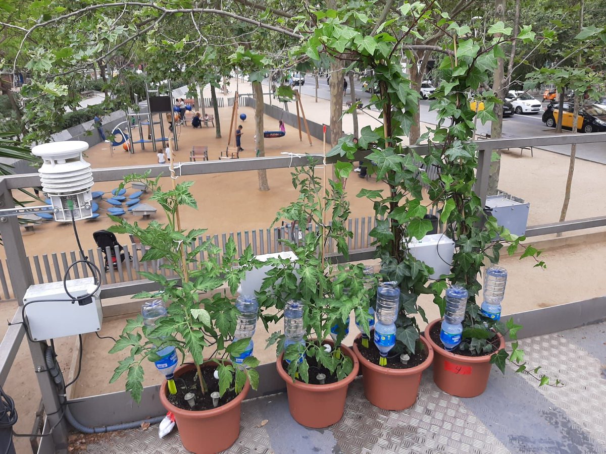 FREE WEBINAR: Do you know that #plants inform us about the quality of the #environment in which they live thanks to the use of #sensors?
Registrations 👇👇
watchplantproject.eu/international-…
<a href="/WatchplantP/">WatchPlant EU Project</a> <a href="/IRNAS_CSIC/">IRNAS Sevilla</a> <a href="/ComisionEuropea/">Comisión Europea en España</a> <a href="/EuropeanCommiss/">European Commission</a> <a href="/CSIC/">CSIC</a>