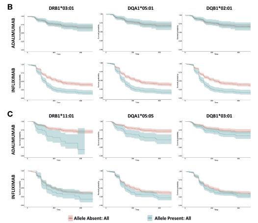 Yiyuan_Tan's tweet photo. Progress towards personalised #IBD therapy will require granularity re: genetic contributions, with a push for 4 digit HLA resolution.

Risk of Anti-TNF immunogenecity (mitigated by IMM): 
DQA1*05:01 - IFX 
DQA1*05:05 - IFX , ADA+
DRB1*01:02 - ADA ++

#IBDTwitter #GITwitter https://t.co/Q1hg9HMQRB