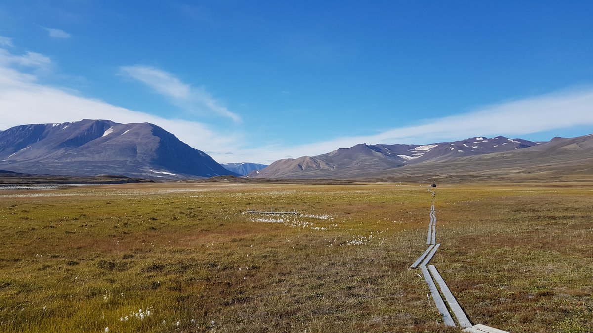 Planning a 2025 Visit to Zackenberg or Daneborg? 
Mark your calendars with the deadlines: 
Application: January 15, 2025. 
Air cargo : February 14, 2025
Ship cargo : June 13, 2025
Our new online application system launches in December 2024  so stay tuned!