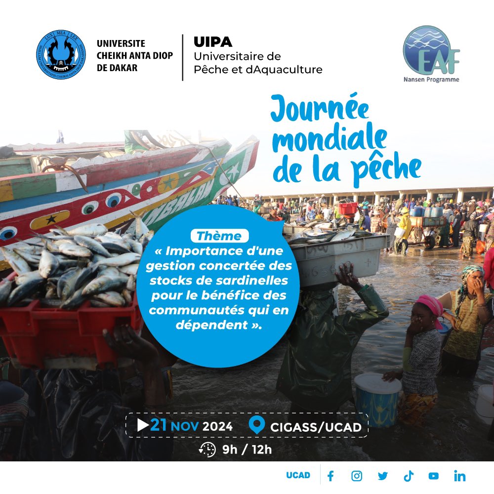 #JMP2024
#IUPA_UCAD, en partenariat avec le Programme EAF Nansen de la #FAO

🗓️jeudi 21 novembre 2024
⏰9H - 12H
📍CIGASS-UCAD

Thème : « Importance d'une gestion concertée des stocks de sardinelles pour le bénéfice des communautés qui en dépendent »
#ucad #kebetu #comdigitale
