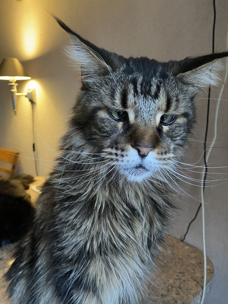 Хеликоптер, хеликоптер