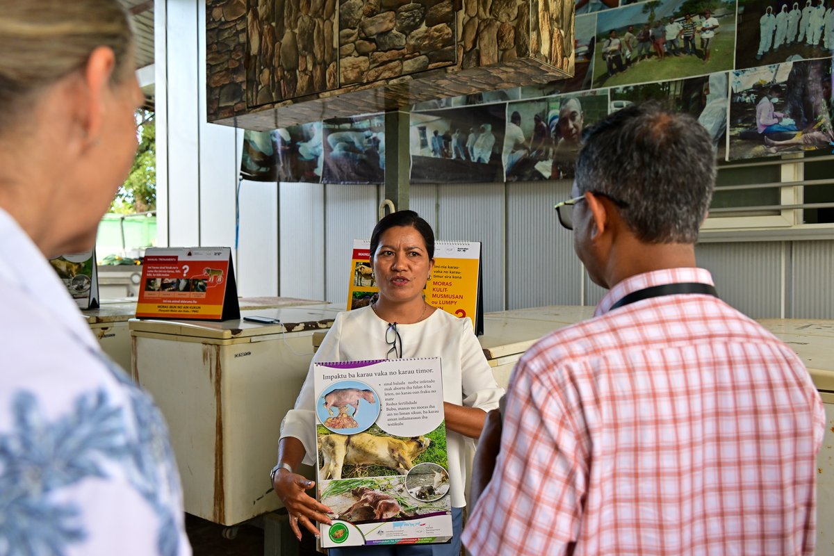 WHO Timor-Leste tweet media