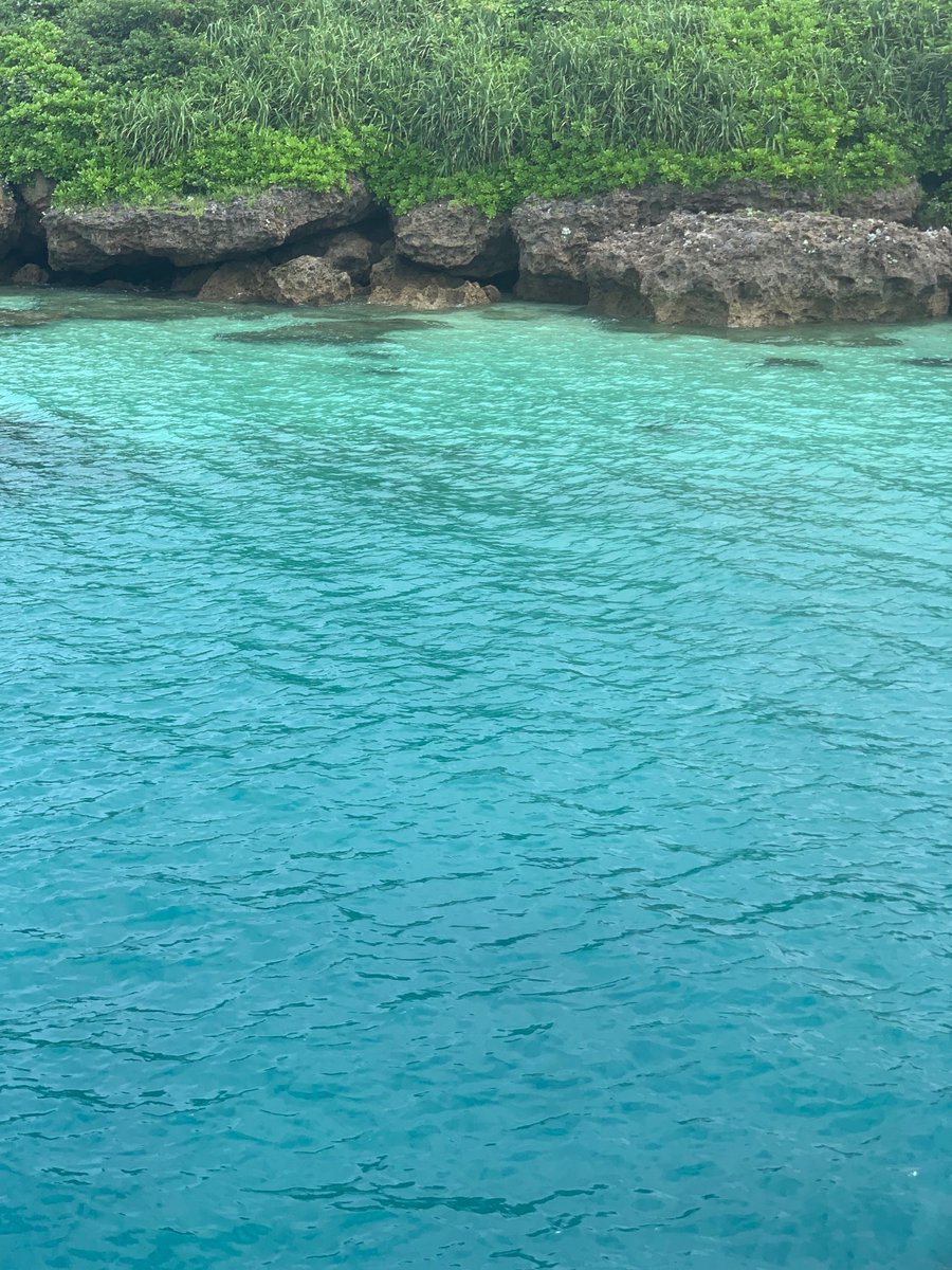 RenGosaki's tweet photo. 風の時代初日は久高島に行った https://t.co/j8NxyTAXym